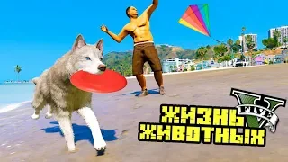 ПЁС ИГРАЕТ С ХОЗЯИНОМ НА ПЛЯЖЕ! ЖИЗНЬ ЖИВОТНЫХ В GTA 5. Серия 6