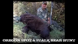 Oregon Spot and Stalk Bear Hunt