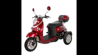 3 wheel mobility 48V 500W double seats electric scooter motorcycle