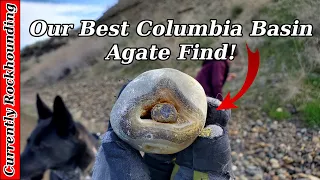 Springtime Agate Hunting on the Columbia River