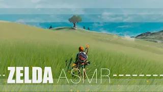 ASMR botw no commentary, no fight, no music, just ambience