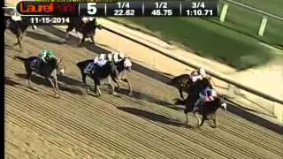 Laurel Park 11/15/14 race 5 - Safely Kept Stakes