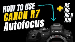 Canon R7 - How to use Autofocus System in the Field - Wildlife Guide for the R5, R6, R6II, R7, & R10