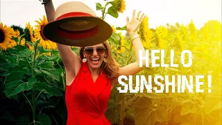 Hello Sunshine! - A Summer Indie/Pop/Folk Playlist, Songs to Vibe to in Summer #summerplaylist #pop