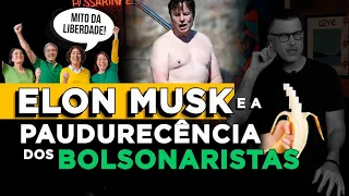 VINOZAP: ELON MUSK SUPER-HOMEM, XANDÃO VERME, ANTI-VACINA, FIXAÇÃO COM MARAJÓ E PADRES ARMAMENTISTAS