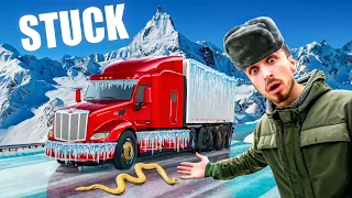 Reptile Delivery Stuck In Blizzard!