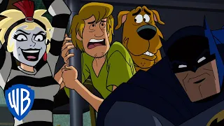 Scooby-Doo! & Batman: The Brave and the Bold | Food Fight in Arkham Asylum! | WB Kids