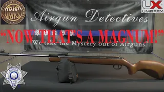 RWS (Diana) 350 Magnum N-TEC Classic "Full Review" by Airgun Detectives