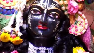 Hare krishna Kirtan 10