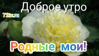 Открытка - Доброе утро родные мои!