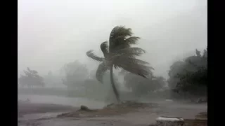 How to Survive Hurricane Irma