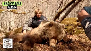 Her First Hunt is a Kodiak Brown Bear!