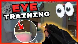 Will EYE TRAINING Fix Your Bad Aim In FPS Games?