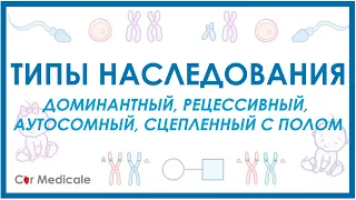 Типы наследования: доминантный, рецессивный, аутосомный, сцепленный с полом