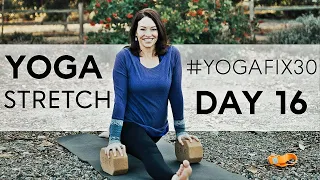 20 Minute Full Body Yoga Stretch Day 16 | Fightmaster Yoga Videos