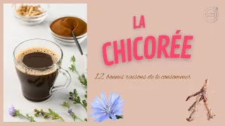 La chicorée: substitut au café et doté de vertus exceptionnelles pour la santé #chicory #bienfaits