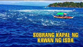 Nagkagulo Ang Mangingisda Sa Sobrang Lawak ng Kawan ng Gulyasan | Skipjack Tuna | Best Fish Catching