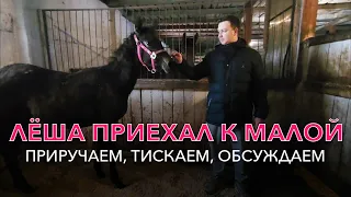 Второй день Хатхор у нас на конюшне.