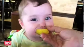 Маленькие дети едят лимон Смешные приколы с детьми1