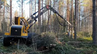 Nový harvestor SAMPO ROSENLEW v akci