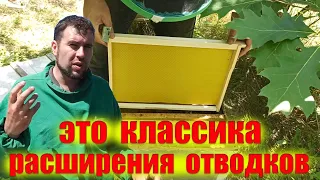 Второе расширение отводков пчел вощиной на пасеке. Расширение гнезда вощиной в однорамочных отводках