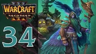 Прохождение Warcraft 3: Reforged #34 - Глава 4: Возвращение друидов [Ночные эльфы - Конец вечности]