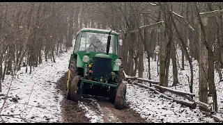 Zetor 25k+Wirax 4t tahání klad v lese