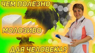 💊 Молозиво. Польза молозива.