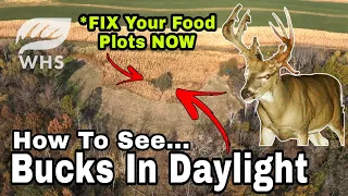 How To Create Daylight Use Food Plots