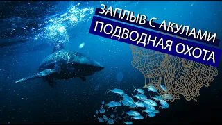 ПОДВОДНАЯ ОХОТА 2021 / Заплыв с акулами