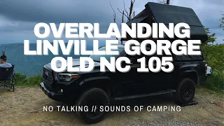 CAMPING AT THE BEST SPOT IN LINVILLE GORGE OLD NC 105. {No Talking II ASMR II Sounds of Camping}