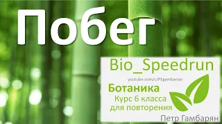 5. Побег (Speedrun ботаника 6 класс, ЕГЭ, ОГЭ 2021)