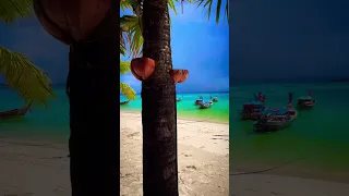 Mali Resorts Sunrise Beach Koh Lipe Island South Thailand 🇹🇭