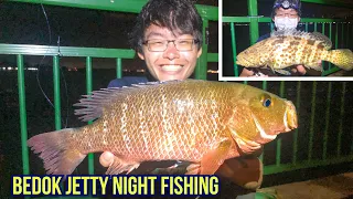 Bedok Jetty Fishing | Mangrove Jack, Groupers, Tamban Jigging | Fishing in Singapore