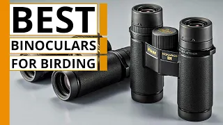 Top 5 Best Binoculars for Birding on Amazon