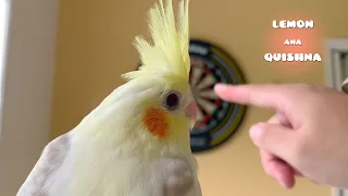 Newborn Baby Bird is Curious About this World