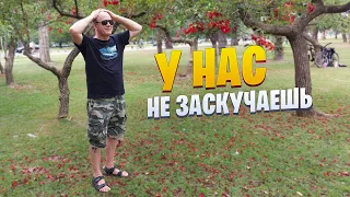 У НАС ВСЕГДА НАЙДУТ ЧЕМ НАСТРОЕНИЕ ПОДНЯТЬ