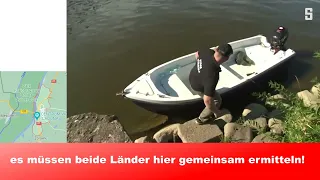 was sind die Hintergründe für das Fischsterben in der Oder?