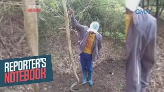 Reporter's Notebook: 18-anyos na babae, patay matapos matuklaw ng king cobra!