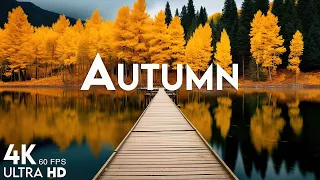 11 HOURS of 4K Enchanting Autumn Nature Scenes 🍁 Relaxing Piano Music for Stress Relief #14