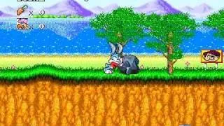 Tiny Toon Adventures game