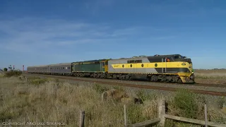 MK82: Bernie Baker Driving SSR's GM27, 442s2 & AK Carriages (11/6/2020) - PoathTV Australian Trains