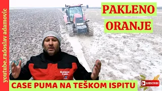 PAKLENO ORANJE : CASE PUMA 155 NA TEŠKOM ISPITU! ; PLOWING FROM HELL: CASE PUMA 155 ON A HARD TEST!