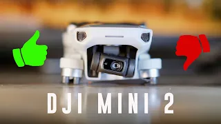 DJI MINI 2 Langzeit Fazit | Immer noch die beste Drohne am Markt? [Langzeit Review]