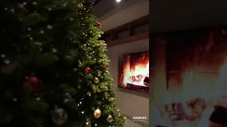 WOOD apartments запрошує🎄