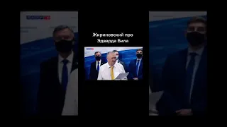 Жириновский ЛДПР.  Про Эдварда Била!