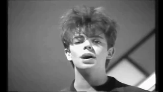 Echo & the Bunnymen - Bring On The Dancing Horses (HQ Audio)