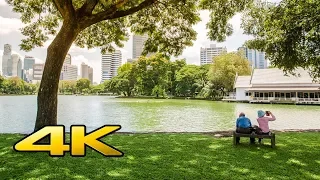 Lumpini park bangkok Thailand in 4k ultrahd