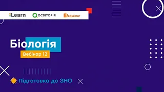 Вебінар 12. Безхребетні тварини. ЗНО 2021 з біології