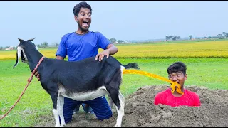 Very Special Funniest Fun Comedy Video 2023😂amazing comedy video 2023 Episode 163 By Bidik Fun Tv